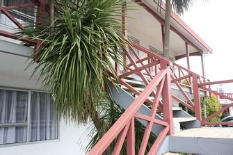 whangarei accomodation|pet friendly accommodation whangarei.